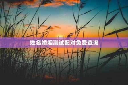 婚姻配对姓名查询网 婚姻名字配对测试？