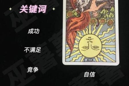 塔罗测试：二月事业运？