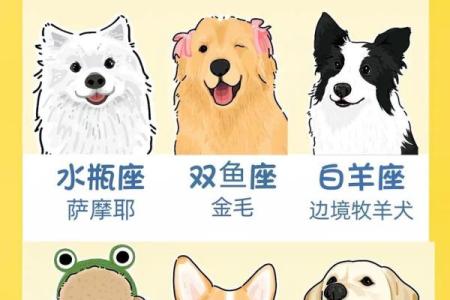 狗狗是否也有对应的星座呢