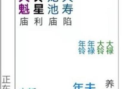 紫薇斗数飞禄