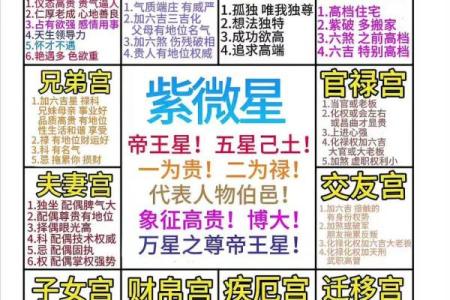 紫薇斗数在线摆盘
