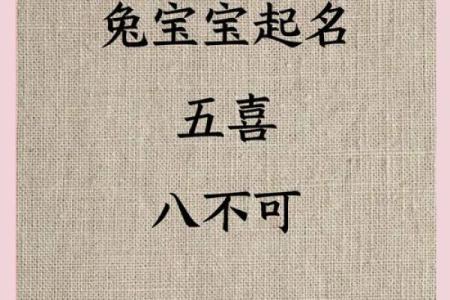 早上8点出生的属兔男孩如何取名姓名