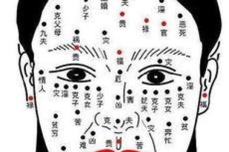如何从下巴看相算命
