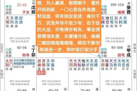 倪海厦的紫薇斗数跟谁学的