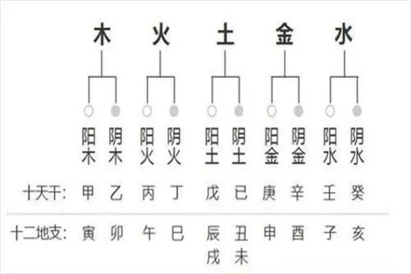 怎样学会四柱八字算命方法