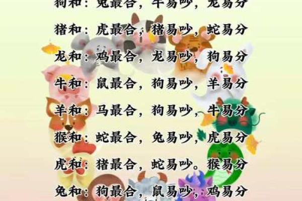 属相星座配对
