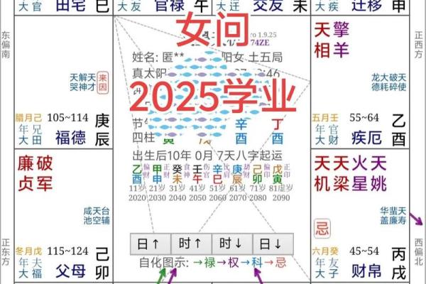 国学紫微斗数是考试内容吗 紫微斗数是国学文化？