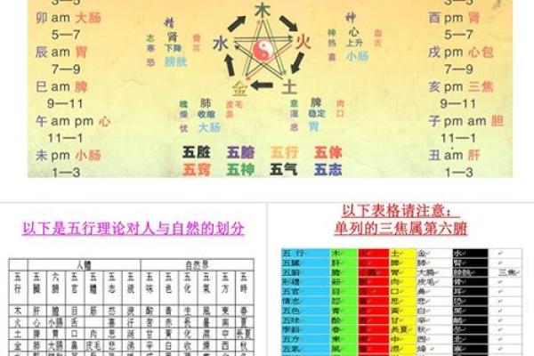 商业：办公养花风水与五行八卦