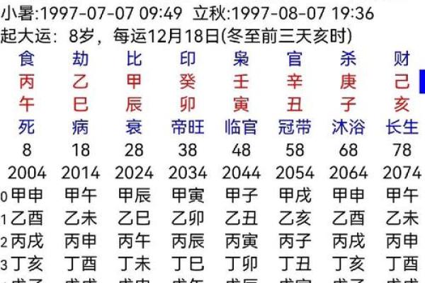 八字十二地支详解