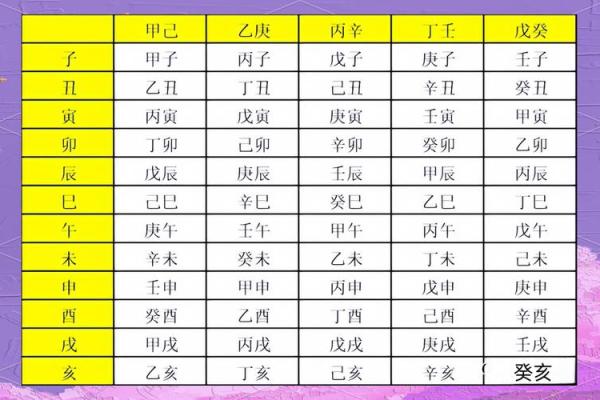 八字十二地支详解