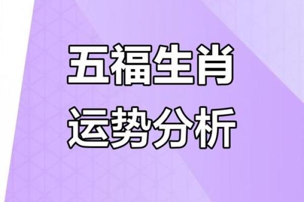 女人最佳风水属相