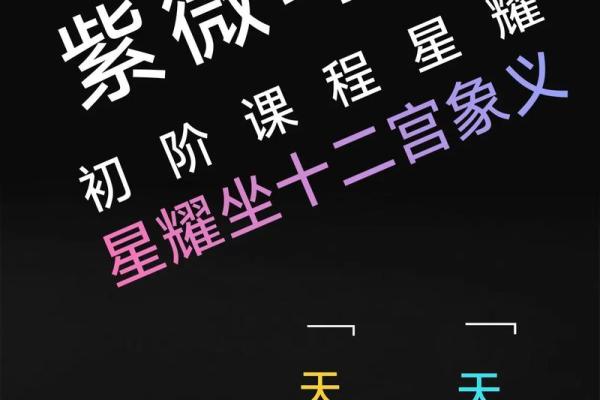 紫薇斗数天贵人