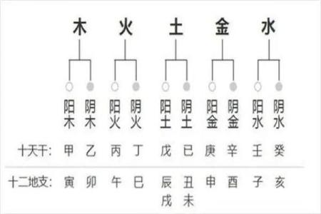 怎样学会四柱八字算命方法