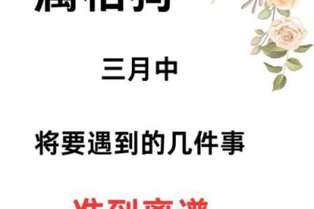 算命的说狗和猪好不好