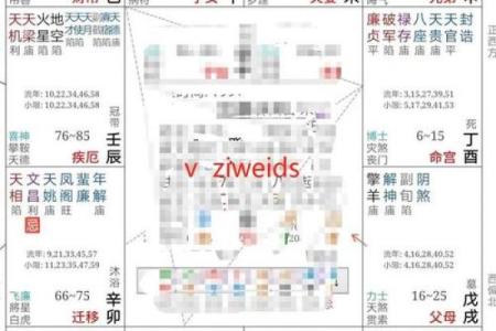 紫微斗数之夫妻宫四化飞星,是什么意思？