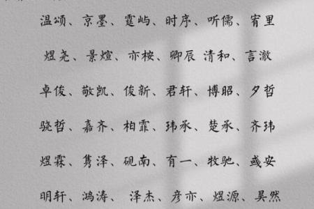 兔年男孩子起名字大全-兔年起名字姓名