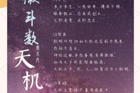 紫微斗数十四主星：天机星概论