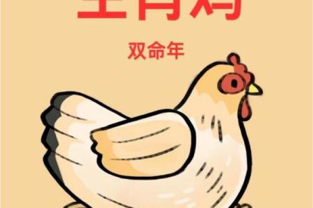 鸡跟什么生肖配对最好 生肖鸡最佳配对
