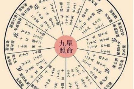 紫薇斗数是按虚岁
