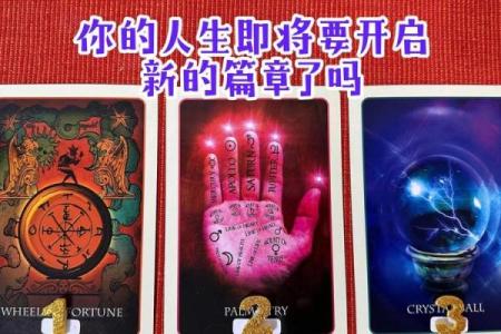 塔罗牌在线占卜日本，日本塔罗测试？