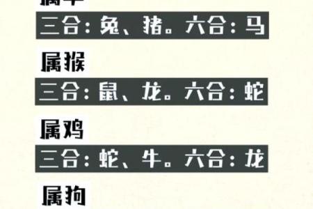 龙生肖配对大揭秘，十二生肖知识详解