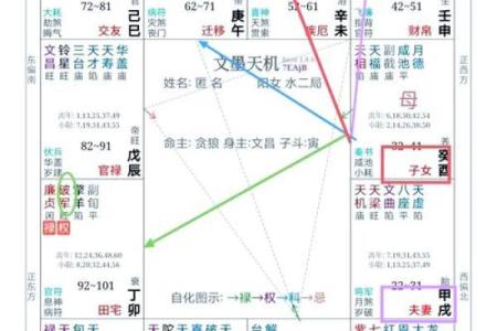 紫薇斗数解析新闻