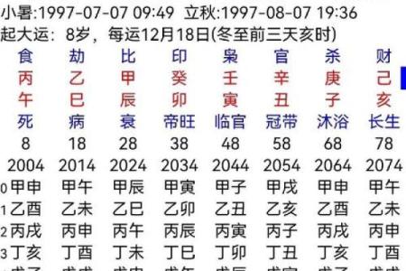 八字十二地支详解