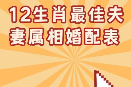 婚姻属相配对大全很准免费 十二生肖婚姻配对表