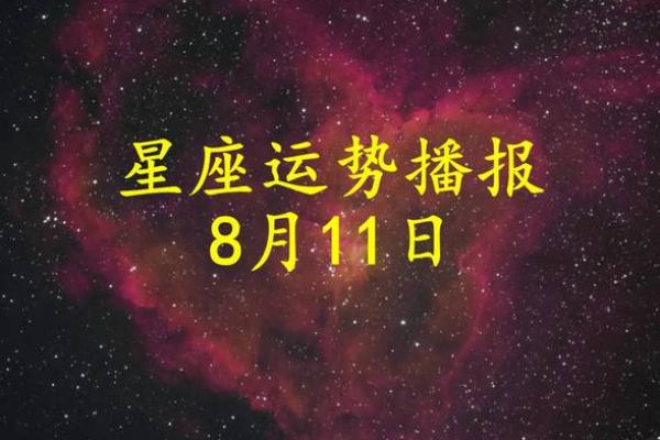 不会眼高手低，稳重求进的星座