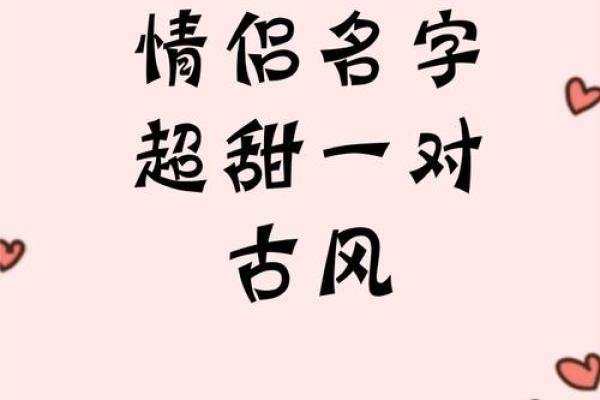 输入姓名配对情侣花名 输入名字配对情侣名？