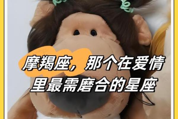 12星座里面哪个星座最适合做侦探呢