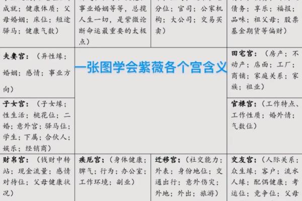 紫薇斗数要学多久