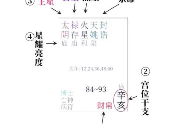 紫微斗数算命详解 紫微斗数测算命运？