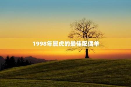 买房子选楼层,看风水.我属虎,木.老公属羊,土.