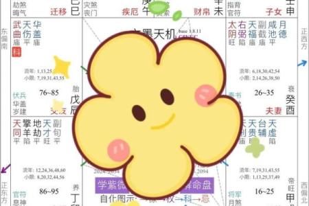 紫薇斗数看女命