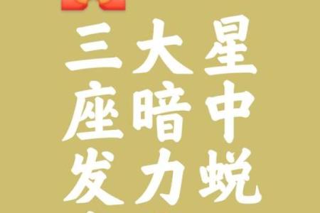 不会眼高手低，稳重求进的星座