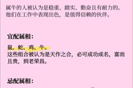 天作之合的三大生肖配对，默契十足，感情美满