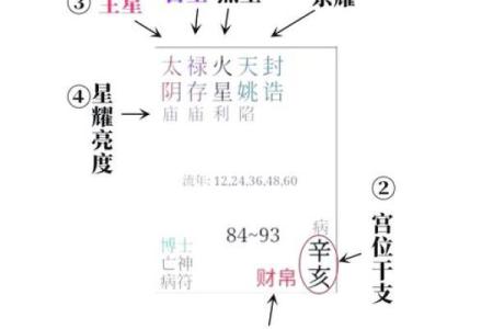 紫薇斗数排版解读