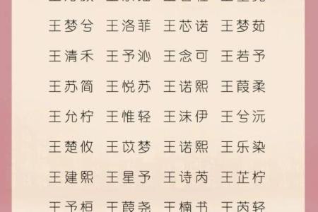 2021年母亲节出生的男孩起什么名字好？姓名