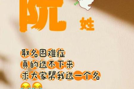 姓阮的名人-姓名学-华易算命网姓名