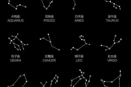 水瓶座最容易爱上什么星座？