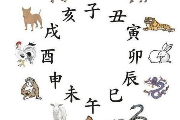八字十二地支三合六合详细解说