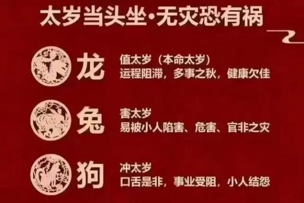 紫薇斗数太岁小限