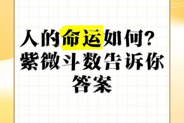 注定紫薇斗数吧