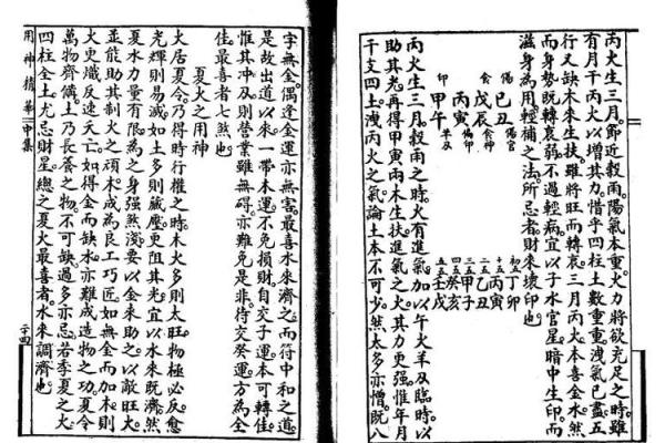 袁树珊八字