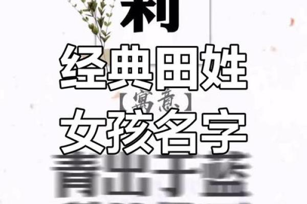 姓田的名人-姓名学-华易算命网姓名