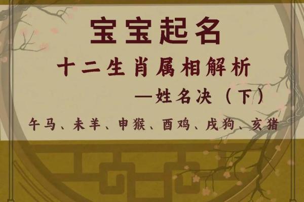 上午10点出生的属鸡男孩应该起什么名字姓名