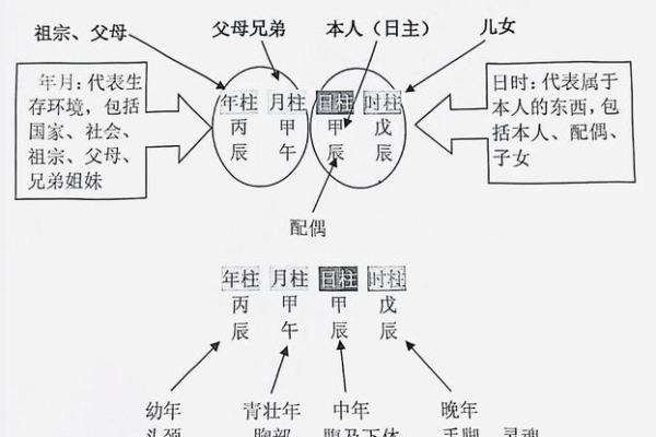 元亨利贞八字分析：性格、运势、婚恋详解