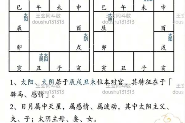子由紫薇斗数