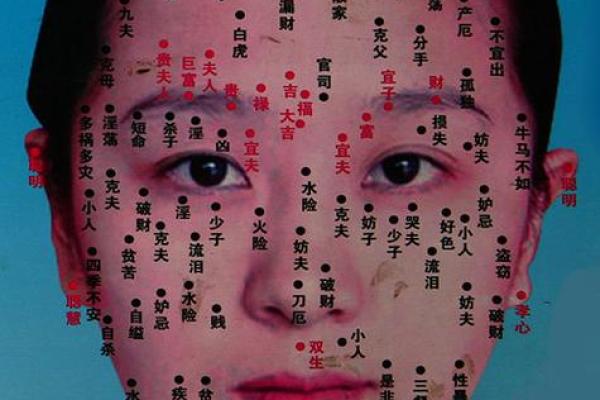 风水脸部哪里的痣不能点眉毛的痣